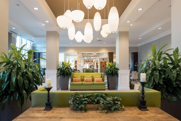 Hilton Garden Inn Asheville Downtown image 6